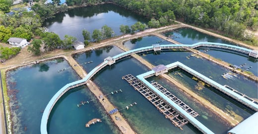Why Are the Right Spare Parts Critical to Water Plant Reliability