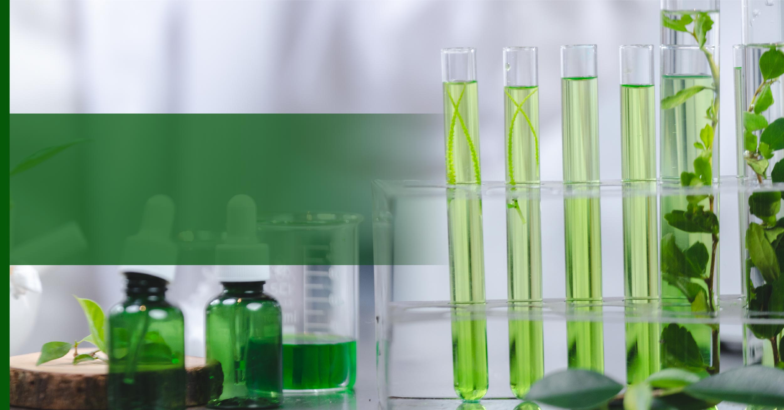 From Effluent to Efficiency: Specialty Chemicals for Greener Industrial Outcomes