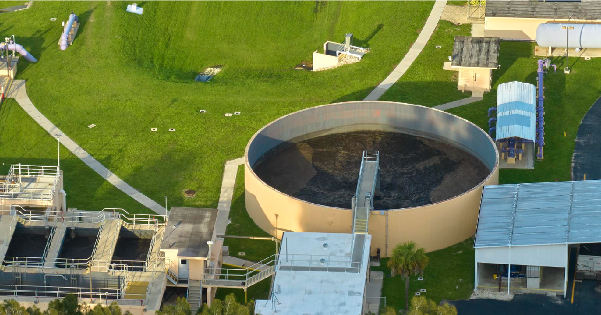Your Plant Performance Depends on This